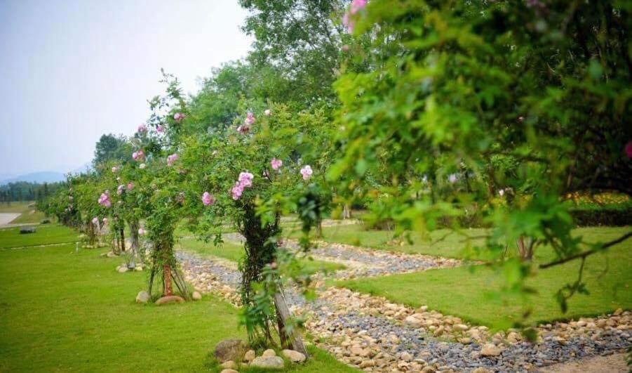 Flamingos Dai Lai Resort - Luxury Ngoc Quang Bagian luar foto